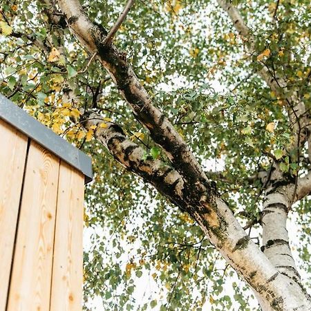 Carmen Eco-Pod / Treehouse, Close To Cabot Circus Bristol Dış mekan fotoğraf